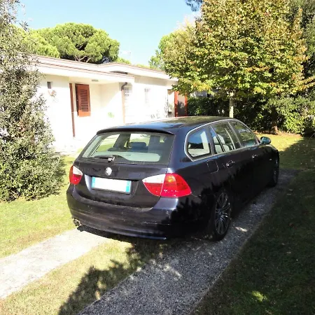 Stella * Бибионе